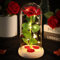 DEEMEI Birthday Gifts for Women Mum Her, Eternal Rose Flowers from Daughter Son, Galaxy Crystal Rose Flower Gift Light Up Rose in a Glass Dome for Girlfriend Wife Anniversary Presents, Red