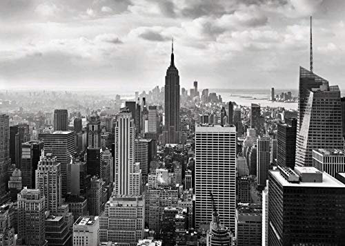 Wall mural photo wallpaper NEW YORK CITY SKYLINE Black and White 430cmx300cm(169.3x118.1inch)
