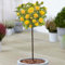 Jaune Plantes de roses colorées Standard Stem pour jardin extérieur en pots (120-140cm)