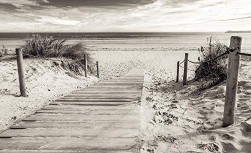 Forwall 2024VEXXXL Papier peint photo non tissé Motif plage et mer Noir/blanc 416 x 254 cm