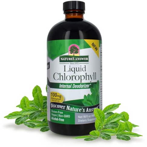 Nature's Answer Liquid Chlorophyll, 100 mg, 16 fl oz (480 ml)