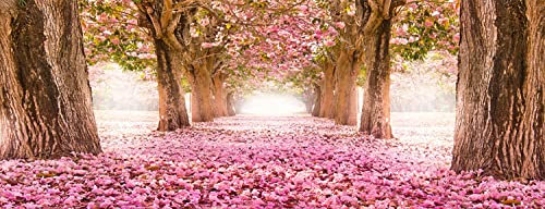 artissimo Bild aus Glas 80x30 cm Wald rosa AG4077A – Kirschblüten Wandbild Frühling Naturmotiv, Panorama Glasbild Querformat, moderne Wanddeko