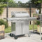 Gecheer Griglia Barbecue a Gas con 5 Bruciatori Argento in Acciaio,P367592