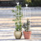 Obélisque de Jardin, Tuteurs pour Plantes, Support Tuteur Métal+Plastique Colonne pour Plantes Grimpantes, 1 Pièce Colonne Rosier Support d'escalade pour Intérieur Extérieur(Blanc,D 40x H 125cm)
