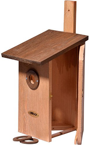 dobar® 22419e Nistkasten Einblick - Nisthöhle für Wildvögel - Höhlenbrüter-Nistkasten Massivholz - Plexiglas zum vorsichtigen Beobachten- 3 Austauschbare Einflugringe - 17 x 23 x 39 cm - Braun