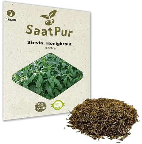 SaatPur Stevia Samen, Saatgut für ca. 12 Pflanzen