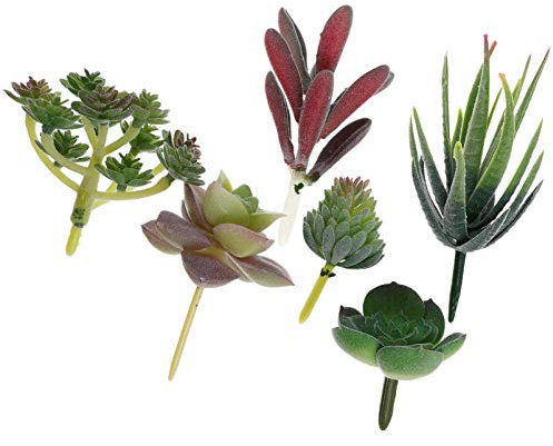 Kisangel 6 Pcs Mini Plantes Succulentes Artificielles Assortiment sans Pot Décoratif Flowe Réaliste Artificielle Faux Succulentes Pics De Fleurs en Plastique Tiges De Cactus Bonsaï Décor À
