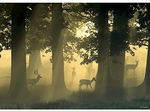Heye 29497 - Standard Puzzles 1000 Teile Deer, Magic Forests