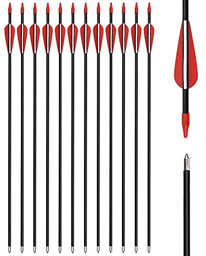 Paquete de 12 flechas de fibra de vidrio para tiro con arco, flechas para niños de 30 pulgadas, flechas de caza para arcos recurvos, flechas de juego para niños, tiro al blanco al aire libre