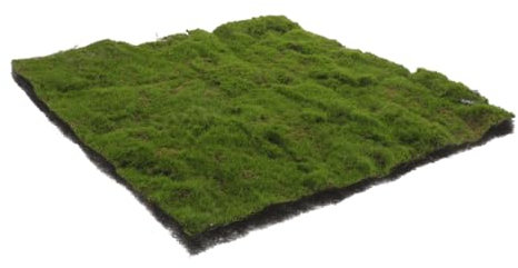 GAROZATION Kunstrasenwand Kunstrasenteppich Grünrasen Dekorasen Für Sandtisch Kunstrasenunterlage Aquarienrasen Moosrasen Simulationstechnologie Dekoration Für Zuhause