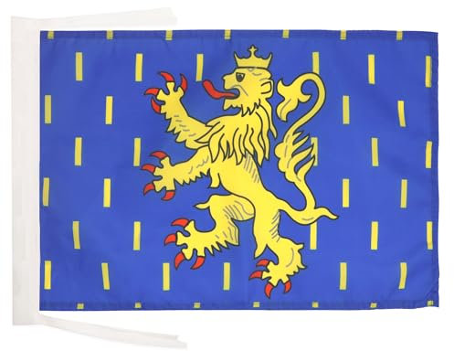 BANDERA de FRANCO CONDADO 45x30cm - BANDERINA DE FRANCHE-COMTÉ - FRANCIA 30 x 45 cm cordeles - AZ FLAG