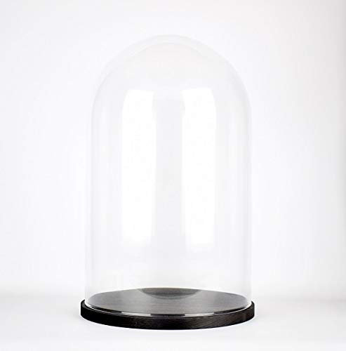 EMH Cloche circulaire en verre soufflé à la bouche faite à la main avec base noire 40 x 25 cm