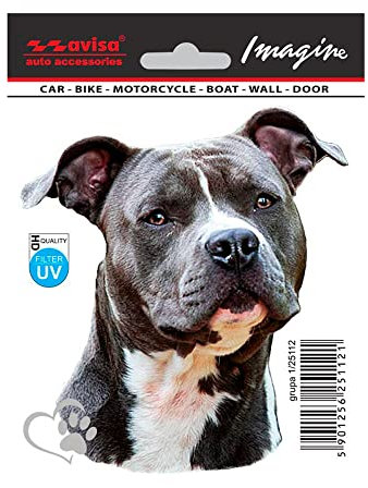 Avisa AutoTattoo Aufkleber Staffordshire Bullterrier - 11x14,5cm