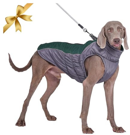 Vivi Bear Hundemantel Winter, Wasserdicht Warme Hundejacke Winddichter Hundeweste für Mittlere Grosse Hunde, Verstellbare Wintermantel Hund mit D-Ring & Reflektierender Entwurf, Grün XXXL