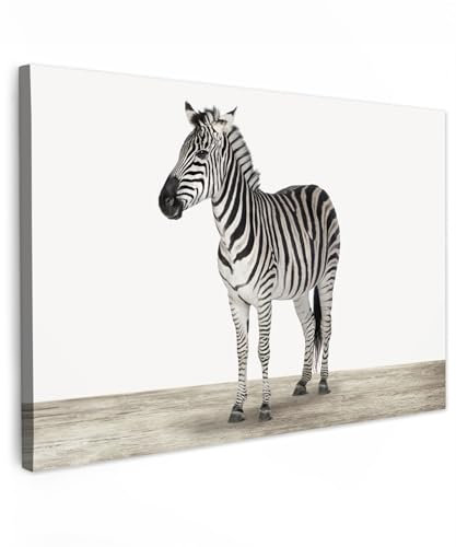 MuchoWow© Impression sur Toile Decoration Murale Peinture 120x80 cm Tableaux Decoratifs Muraux Déco Chambre Tableau Salon Zèbre - Femme - Filles - Animaux - Enfants - Garçons