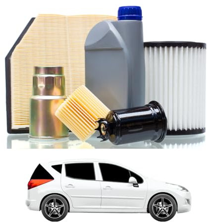 Tagliando compatibile con PEUGEOT 207 SW 1.4 LPG 54 kw Benzina/Gasauto (GPL) 2007-2012 - 3 Lt di olio + 3 Filtri