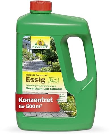 Neudorff BioKraft - Aceto concentrato, 100% naturale, per superfici fissate da 500 m² come sentieri e terrazze, 3 litri
