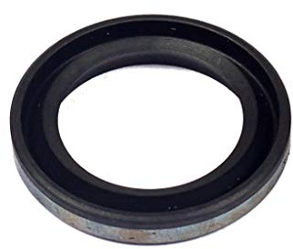 Briggs & Stratton 299819S Oil Seal Replaces 393862/89660/555071