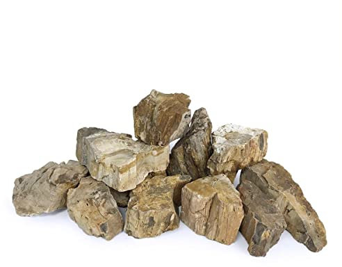 H2Pro Aquarium-Dekoration aus versteinertem Holz, 20 kg pro Box