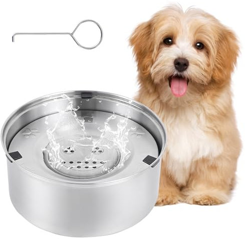 Amexo Gamelle d'eau Anti Éclaboussures pour Chiens, Gamelle d'eau Anti Déversement pour Chien en Acier INOX 304, Bol d'eau Antidérapant pour Animaux de Compagnie (1L)