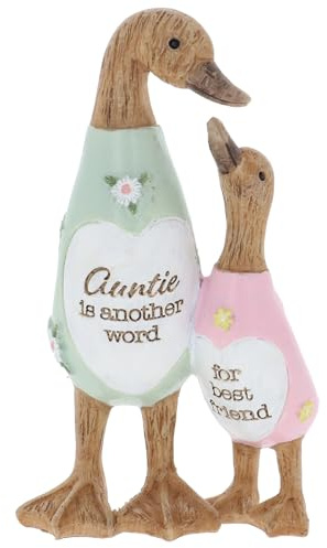 Shudehill Giftware Daisy Message Cute Resin Wooden look Duck Ornament - Mum, Nan, Friends, Family and More Sentimental Messages, Gift Ideas For Her (Auntie)