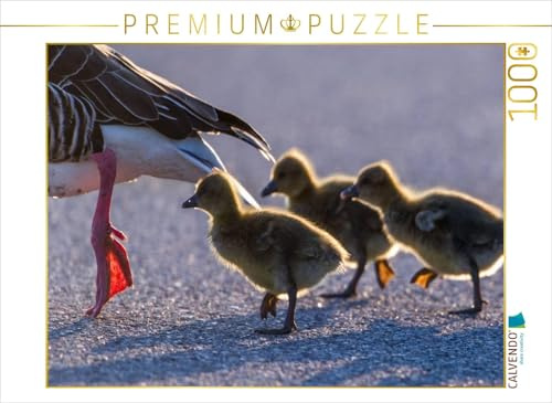 CALVENDO Puzzle EIN Motiv aus dem Kalender Emotionale Momente: Die Graugans. | 1000 Teile Lege-Größe 64 x 48 cm Foto-Puzzle für glückliche Stunden