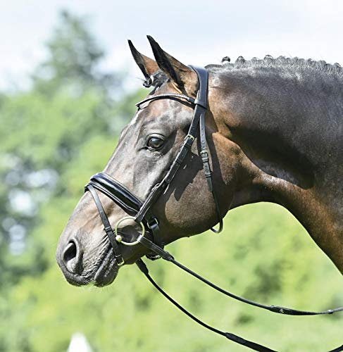Busse Trense MAILAND, VB, schwarz/Lack-Kristall