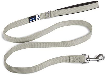 Basic Leash Gray L