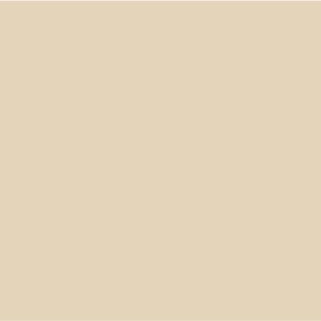 Repair Wizard Leather & Vinyl Colourant Paint Stain Dye for Repair Recolour Restore Worn Faded Furniture, Sofa, Chair, Car Seats, Shoes, Handbags & More (Light Cream, 60ml)