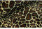 Sanftes Fellimitat, Kuh, Zepra, Tiger, Gazelle, Giraffe, Jaguar, Fantasifell-ca. 155 cm breit-50cm Schritte-Meterware-8 verschiedene Tiermotive (Giraffe klein-1)