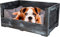 Kistenkolli Altes Land Hundebett Balu aus Holz mit Kissen 90x57x45cm Hundekorb Hundekissen Schlafplatz Vintage Hundesofa draußen Outdoor hundelounge Bett (90x57x45cm, Shabby Schwarz)