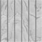 Muriva Woodgrain Panel Wallpaper Silver Grey 193502