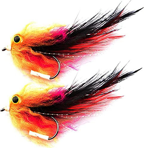 CRAKES 2 Stück neue Forellen Lachs Streamer Fliegen zum Fliegenfischen Fliegen Größe 4