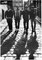 Close Up Arctic Monkeys: Shadows | UK Import, Poster [59 x 84 cm]
