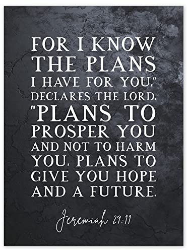 Jeremiah 29:11 I Know The Plans I have For You Plans to Give You Hope Christian Bible Verse Quote Scripture Typography Unframed Wall Art Print Poster Home Decor Premium