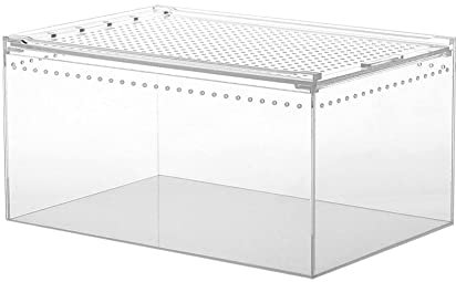 Tarantula Terrarium – Transparente Reptilien-Futterbox, tragbare Schlüpf-Inkubationsbox, Schlangenzuchtbehälter, -Haustierhaus für Spinnen, Skorpione, betende Mantises Tebinzi