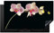 KitchenYeah© Induction Hob Cover Protector Mat 20.8x36 / 91.6x52.7 cm Kitchen Universal Ceramic Covers for Electric Cookers Vinyl Orchid - Flowers - Black - Pink - Buttons
