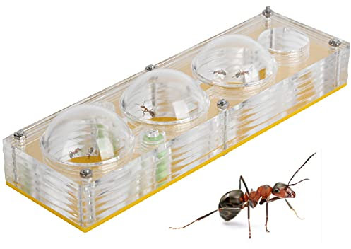 Ameisenzuchtbox, Acryl-Ameisenzuchtnester, Ameisenfarm, Ameisen-Displaybox, Ameisenhaus-Spielzeug