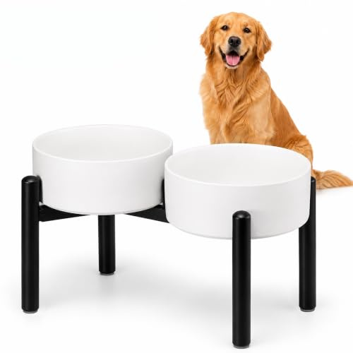 Dog Bowls Elevated - Ceramic Raised Dog Bowl with Non Slip Steel Stainless Stand - No Spill and Heated Feeding Station - Food and Water Dish Set for Medium to Large Pet - Each Holds 7.5 Cups – White