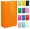 Thepaperbagstore 50 Orange Partytüten aus Papier – 14x24.5x7cm - Bunte Geschenktüten aus Papier für Kinder- und Erwachsenenpartys, Geburtstage, Hochzeiten, Junggesellinnenabschiede und Süßigkeiten