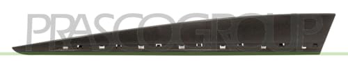 Prasco RN3291404