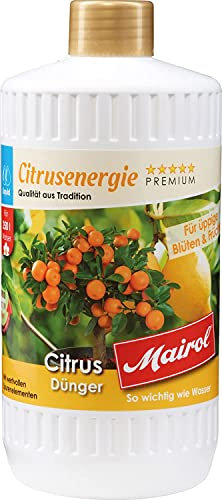 Eva Shop® Mairol Premium Citrusdünger Citrusenergie Zitrusdünger für Zitronen, Orangen, Mandarinen, Clementinen, Kumquat uvm. 1000ml
