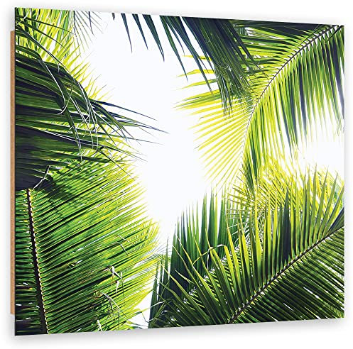 Feeby Décoration murale Nature Jungle Arbre 40x40 cm Tableau Photo Exotisme Tropiques Feuilles de palmier vert
