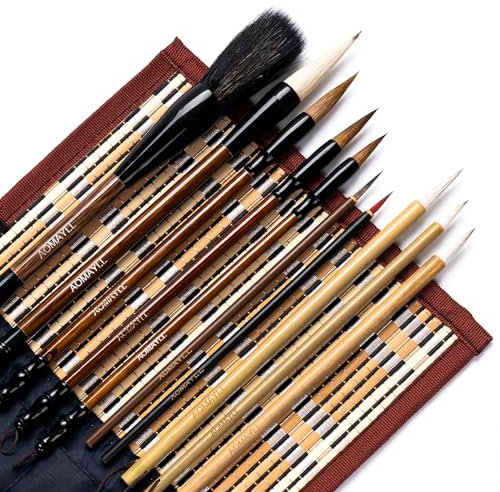AOMAYLL Lot de 10 pinceaux de calligraphie chinoise professionnels avec étui pour écrire et dessiner (B)