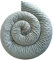 Bebeloo Bettschlange Bettkissen Seitenschläferkissen Nackenrolle Schlafkissen Kuschelschlange Stillkissen Zierkissen Zugluftstopper Body Pillow Minky Oeko-TEX (Grau, 400 cm)