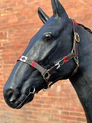 Argentinien Polo Lederhalfter, Halfter, bestickt, 76,2 cm, Braun/Rot/Weiß/Grün (Cob)