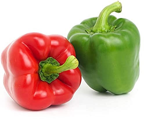 Sweet Pepper Plants, 'Bellboy', 4 x Plug Plant Pack, Bell Peppers, Garden Ready and Ready to Plant, Premium Quality Vegetables