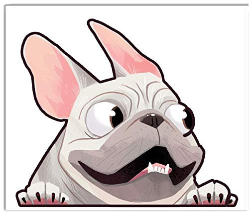 Biomar Labs® 1 x Vinyl Aufkleber Autoaufkleber Sticker Dog Hund Französische Bulldogge French Bulldog B 226
