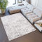 TAPISO Sky Teppich Kurzflor Modern Grau Beige Meliert Verwischt Design Wohnzimmer Schlafzimmer Blumen Muster Vintage ÖKOTEX 250 x 350 cm