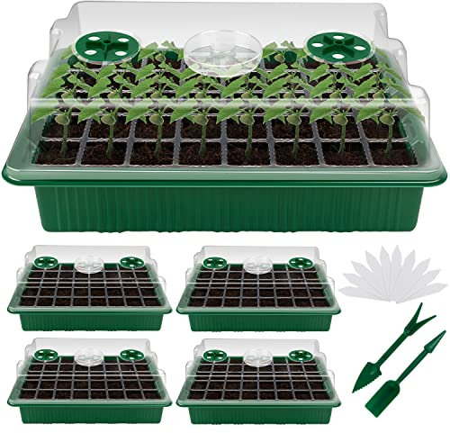 YAUNGEL Mini Serre pour Plantes, XL Intérieure Plateau Semis avec couvercles rehaussés, 38x24x12 CM Bac à semis Pépinière Boîte de Culture Durables, 4 Pièces 160 Cellules, Vert